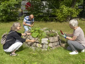 Zwei Frauen und ein Mann nutzen Apps im Pflanzen zu erkennen.